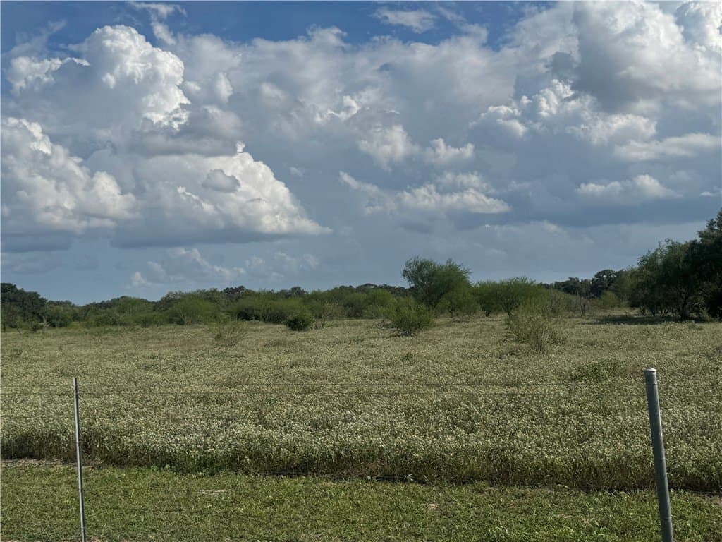 36.73 acres in Bee County - photo 7