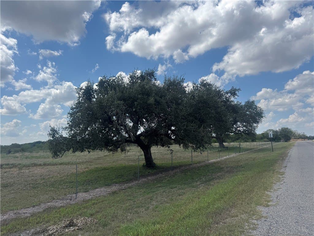 36.73 acres in Bee County - photo 5