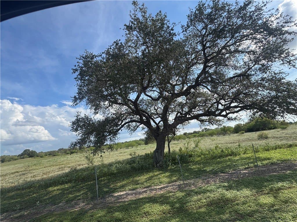36.73 acres in Bee County - photo 9