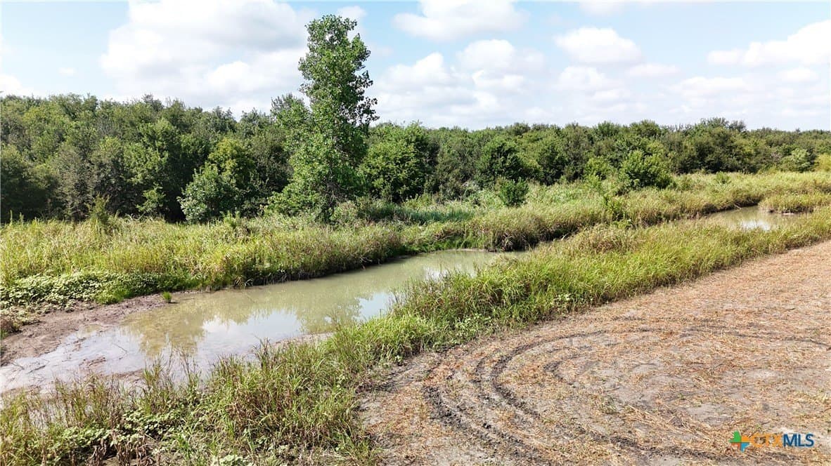 10.01 acres in Falls County - photo 6