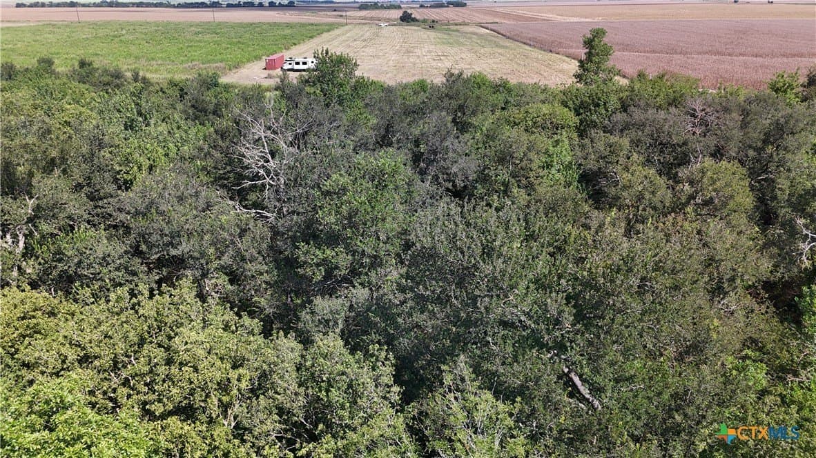 10.01 acres in Falls County - photo 4