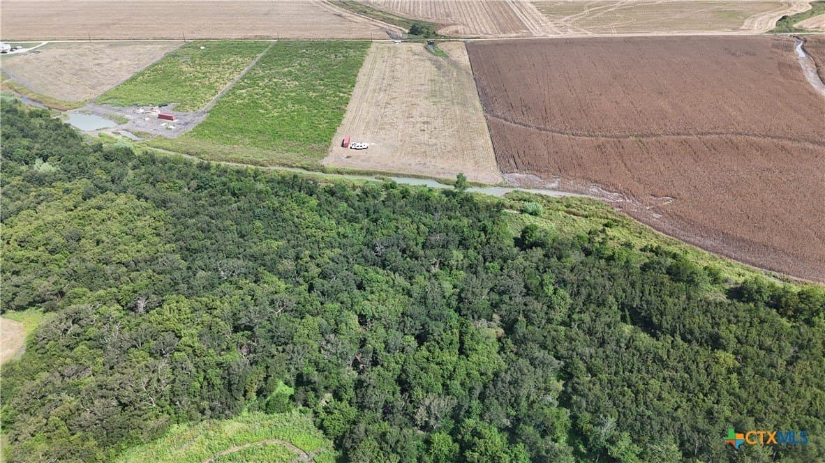 10.01 acres in Falls County - photo 8