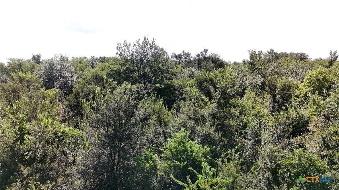 10.01 acres in Falls County - photo 5