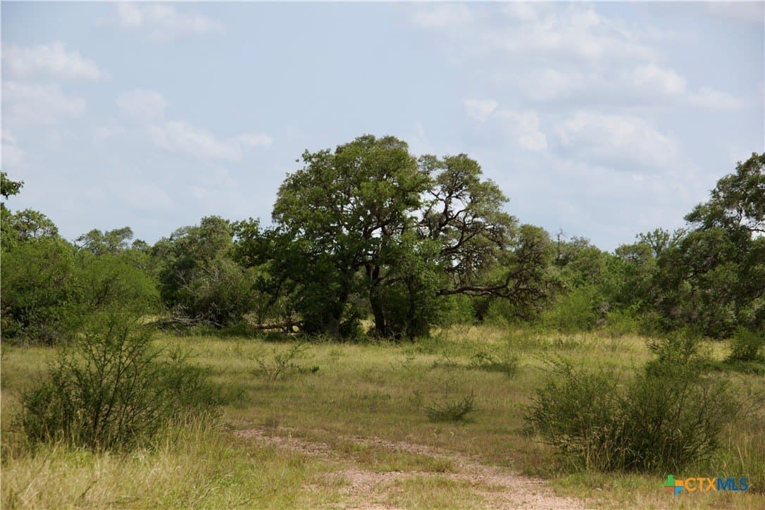 147.9 acres in DeWitt County - photo 38