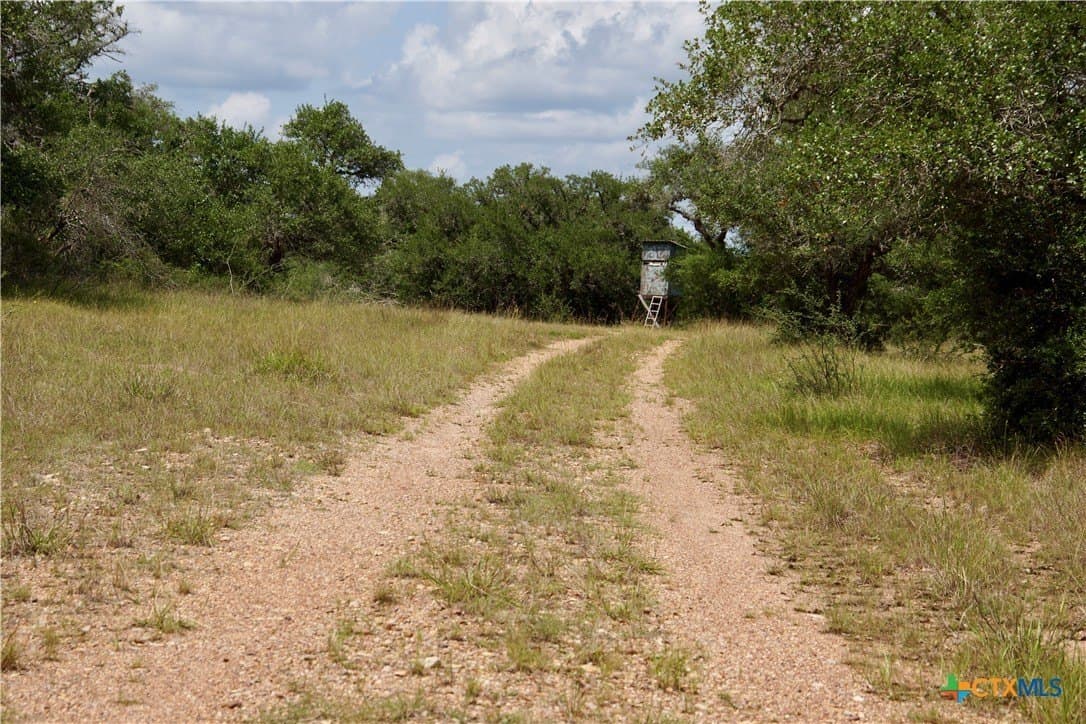 147.9 acres in DeWitt County - photo 27