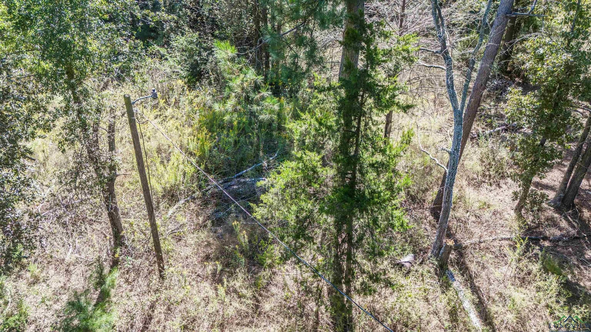 25.4 acres in Upshur County - photo 23