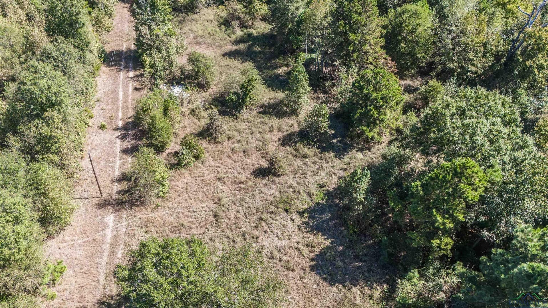 25.4 acres in Upshur County - photo 24
