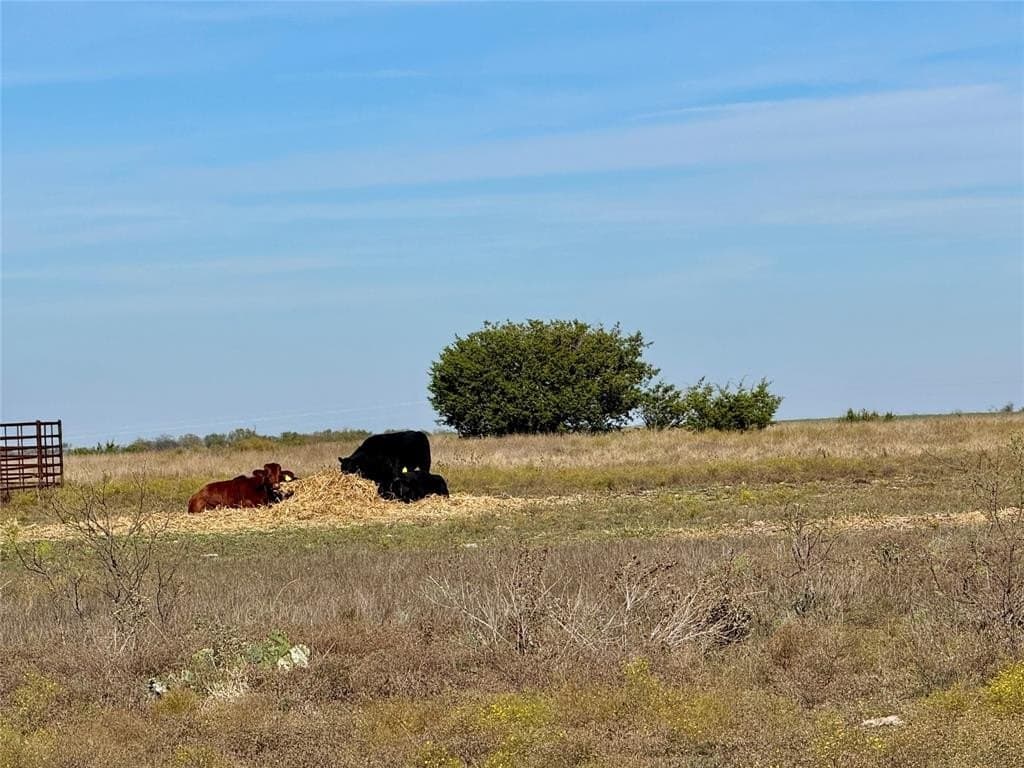 79.02 acres in Hamilton County - photo 9