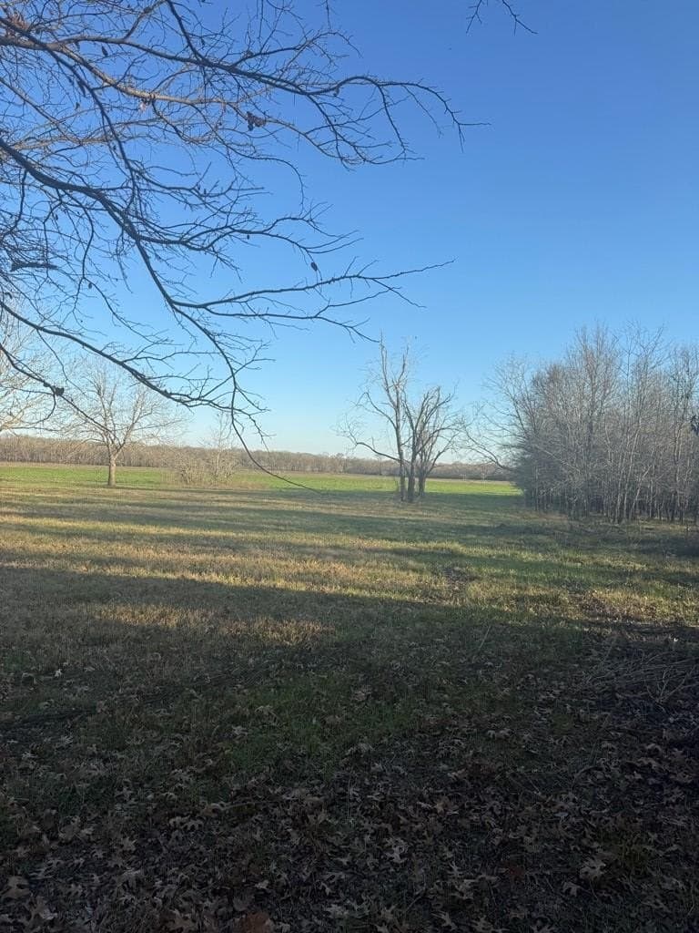 82.72 acres in ANDERSON County - photo 4