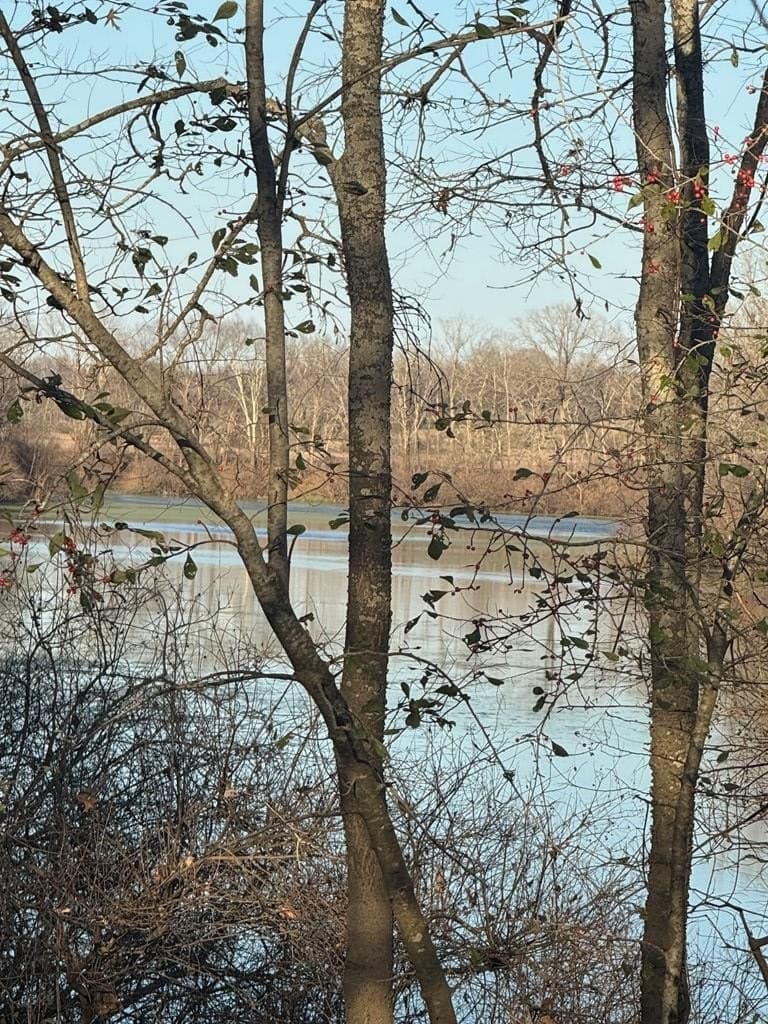 82.72 acres in ANDERSON County - photo 3