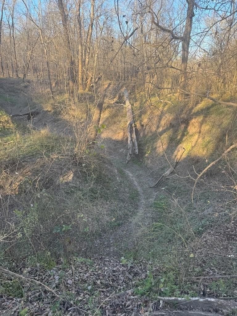 82.72 acres in ANDERSON County - photo 2