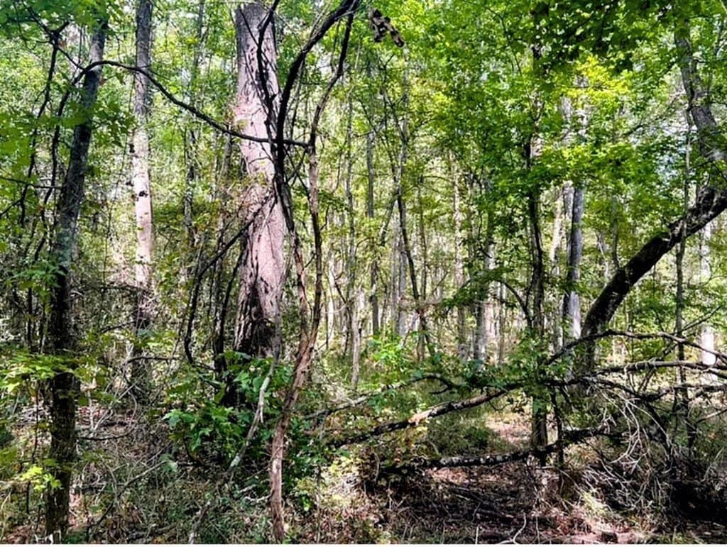 6.18 acres in ANDERSON County - photo 3