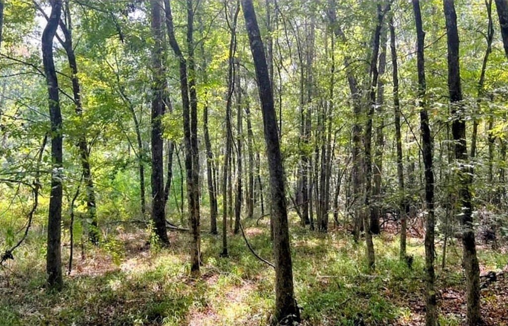 6.18 acres in ANDERSON County - photo 4
