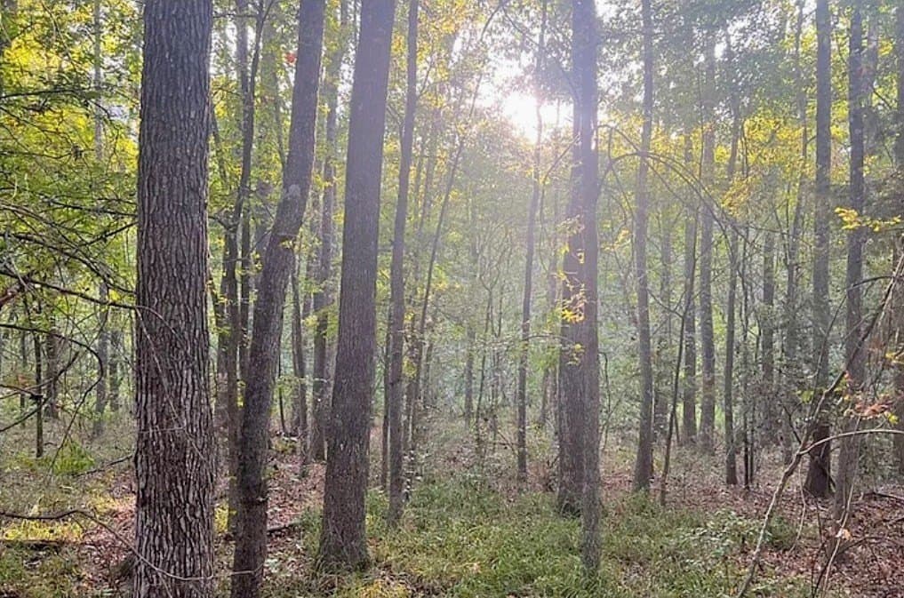 6.18 acres in ANDERSON County - photo 2