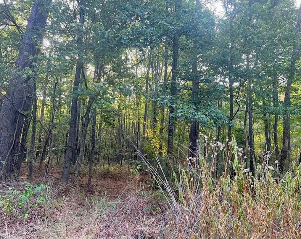 6.18 acres in ANDERSON County - photo 5