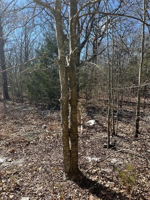 0.39 acres in Hunt County - photo 3