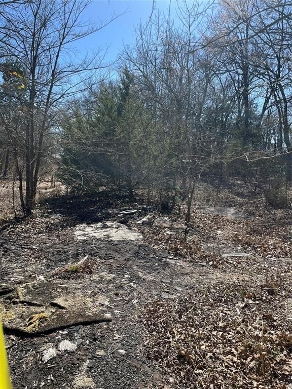 0.39 acres in Hunt County - photo 2