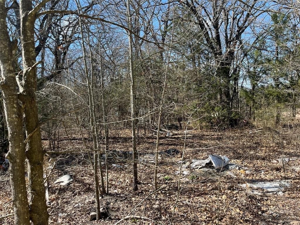 0.39 acres in Hunt County - photo 4