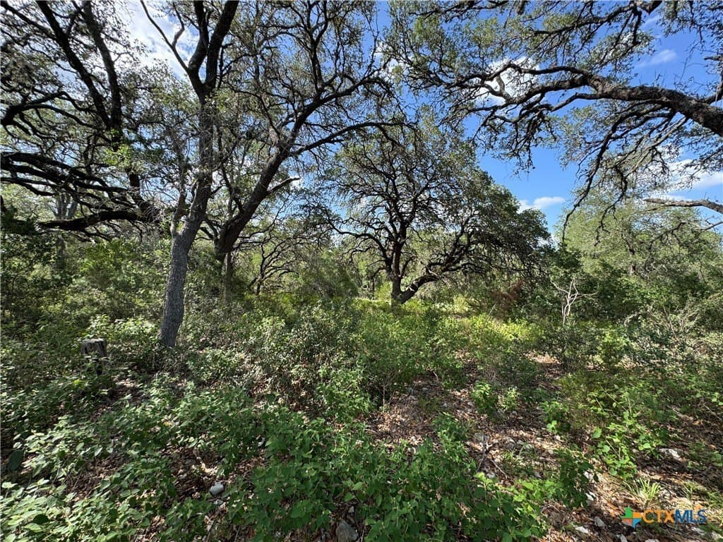 5 acres in Hays County - photo 10