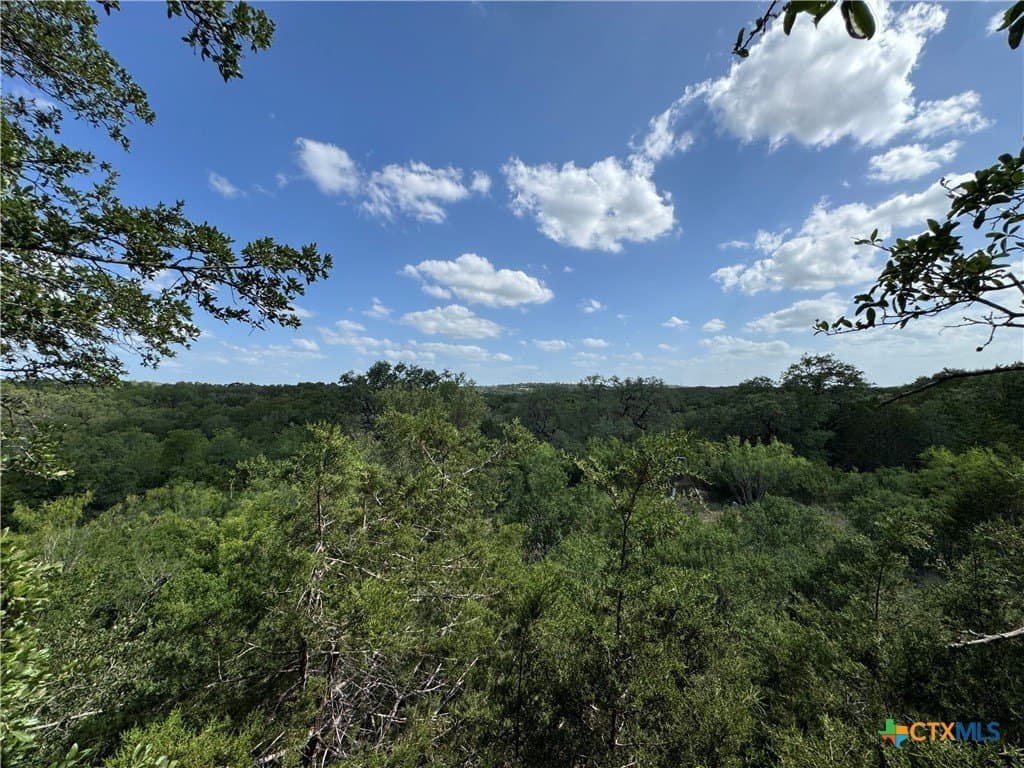 5 acres in Hays County - photo 7