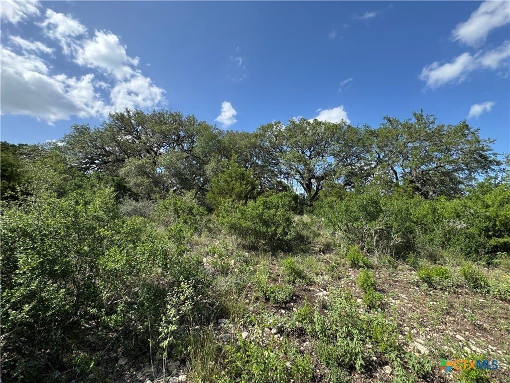 5 acres in Hays County - photo 15
