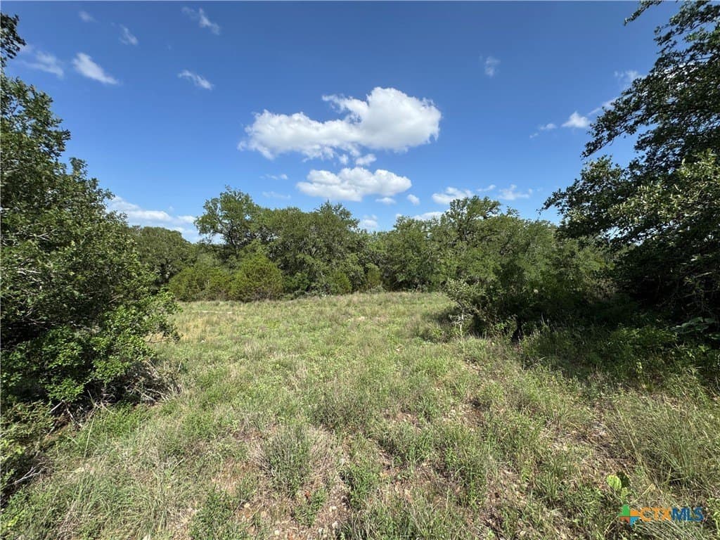 5 acres in Hays County - photo 4