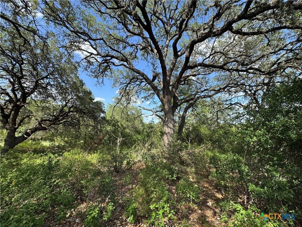 5 acres in Hays County - photo 11