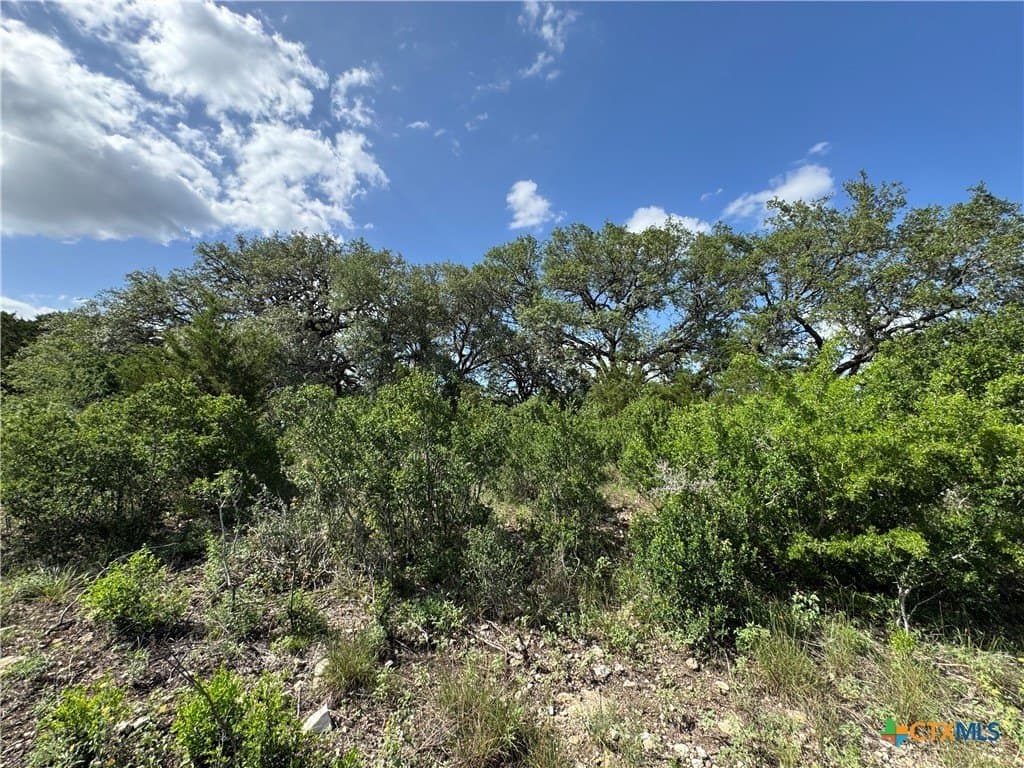 5 acres in Hays County - photo 12