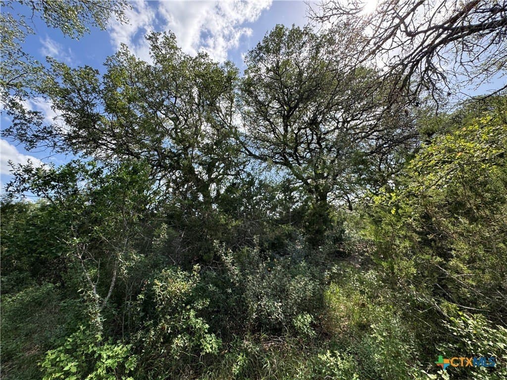 5 acres in Hays County - photo 5