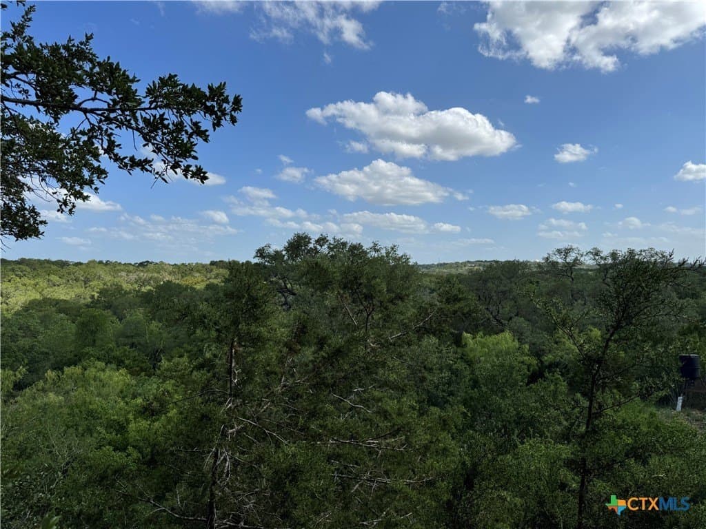 5 acres in Hays County - photo 8