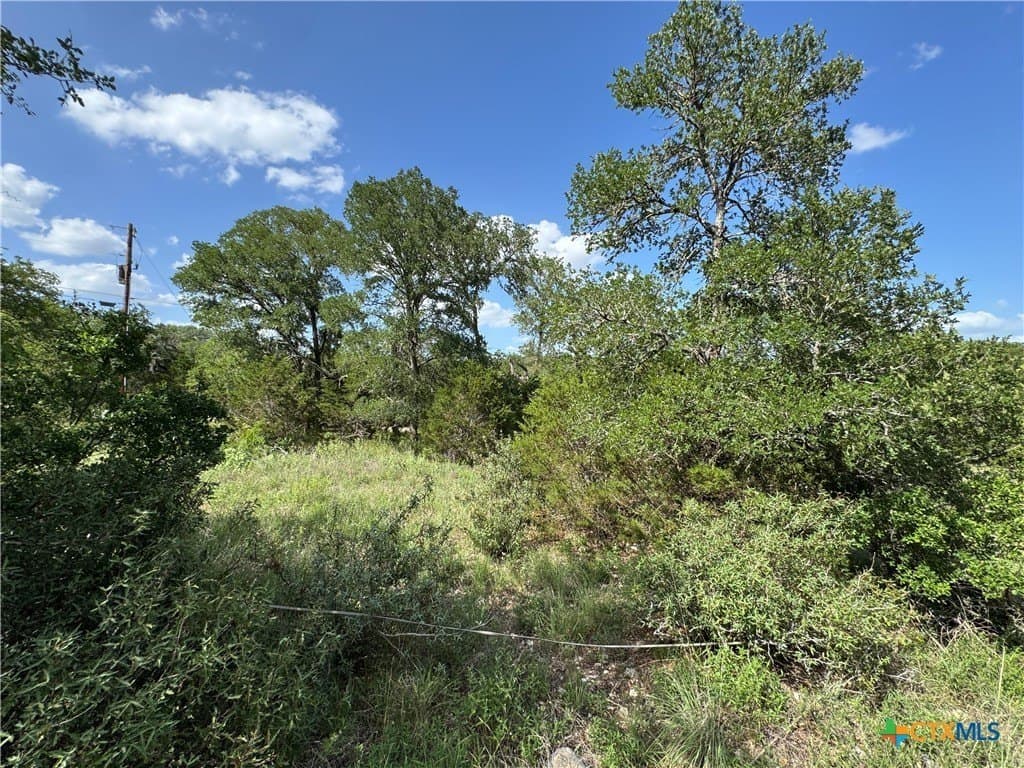 5 acres in Hays County - photo 3