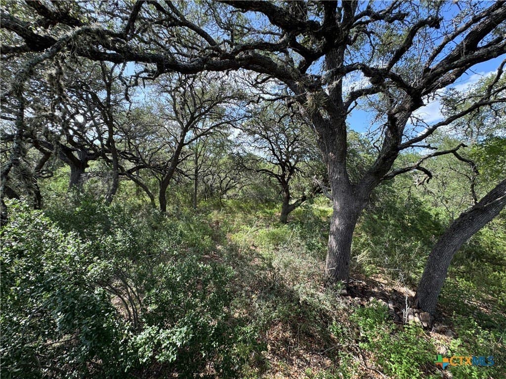 5 acres in Hays County - photo 6