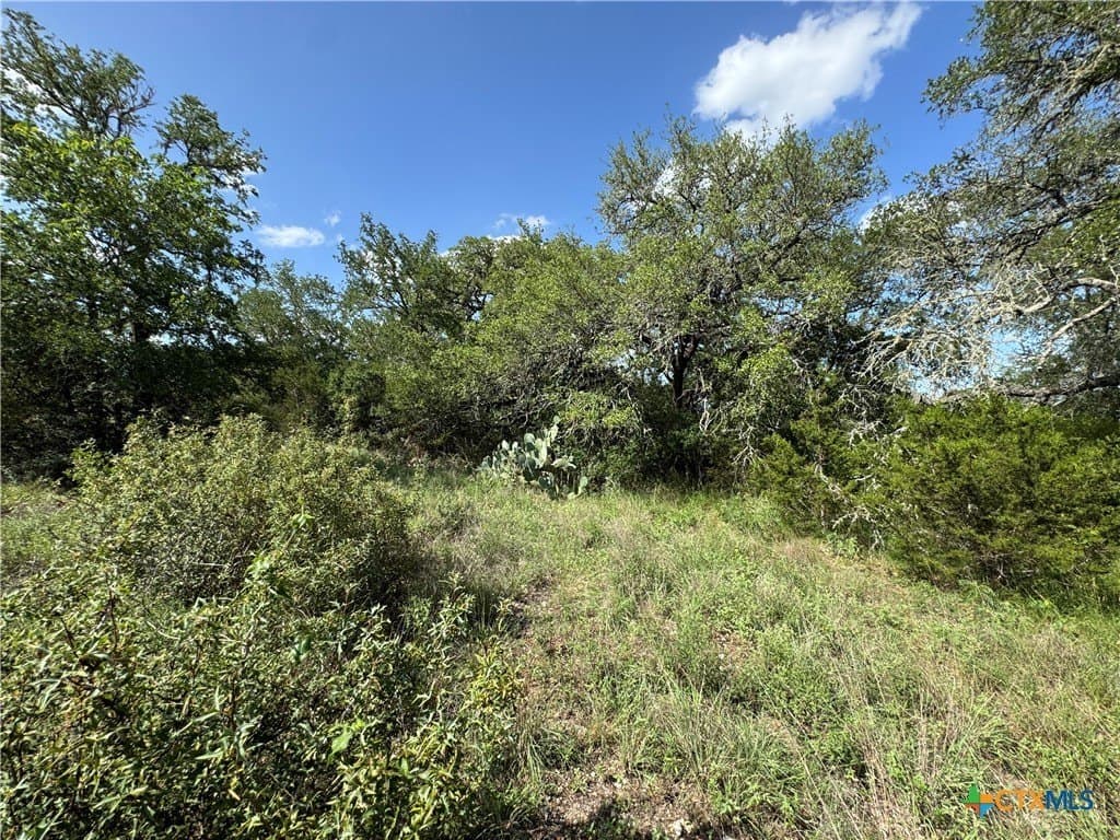 5 acres in Hays County - photo 18