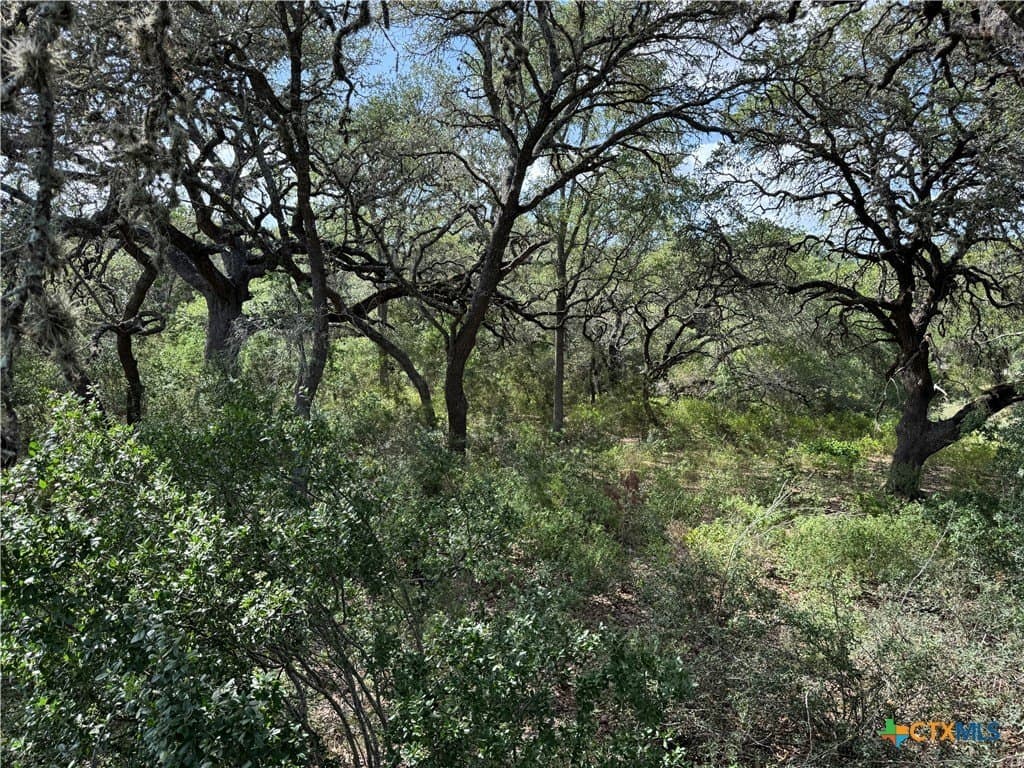 5 acres in Hays County - photo 9