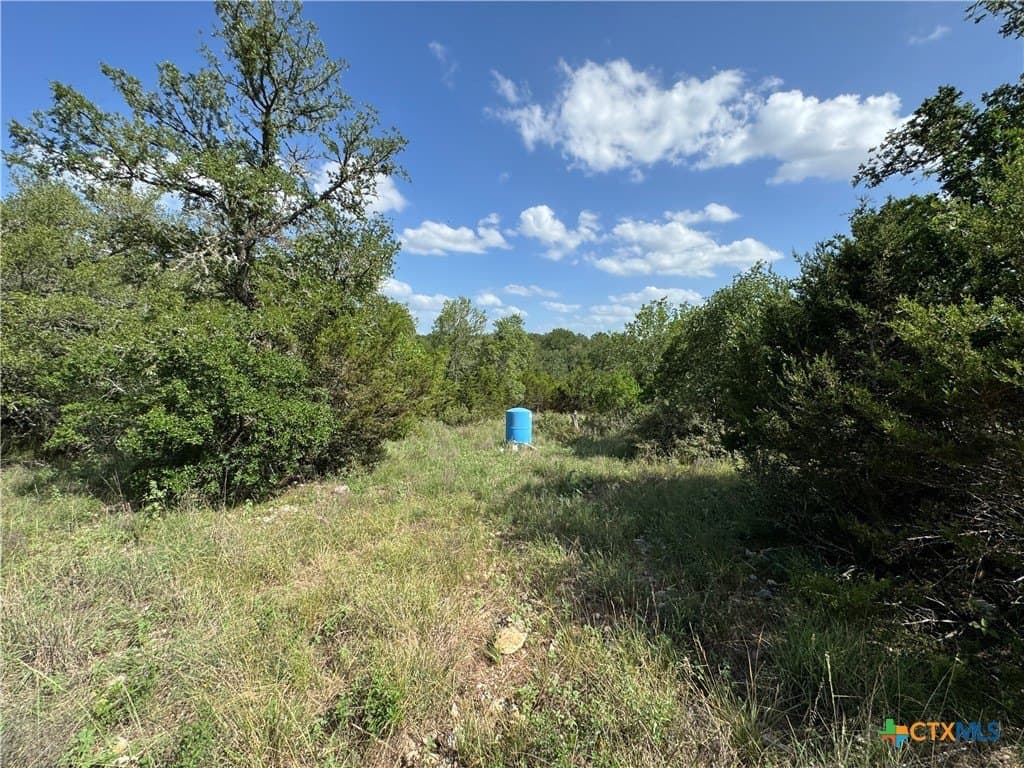 5 acres in Hays County - photo 16