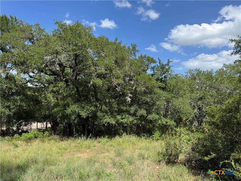 5 acres in Hays County - photo 2