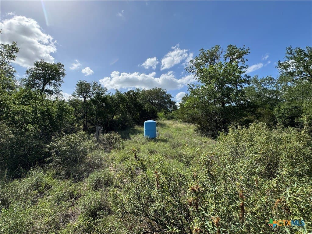 5 acres in Hays County - photo 17