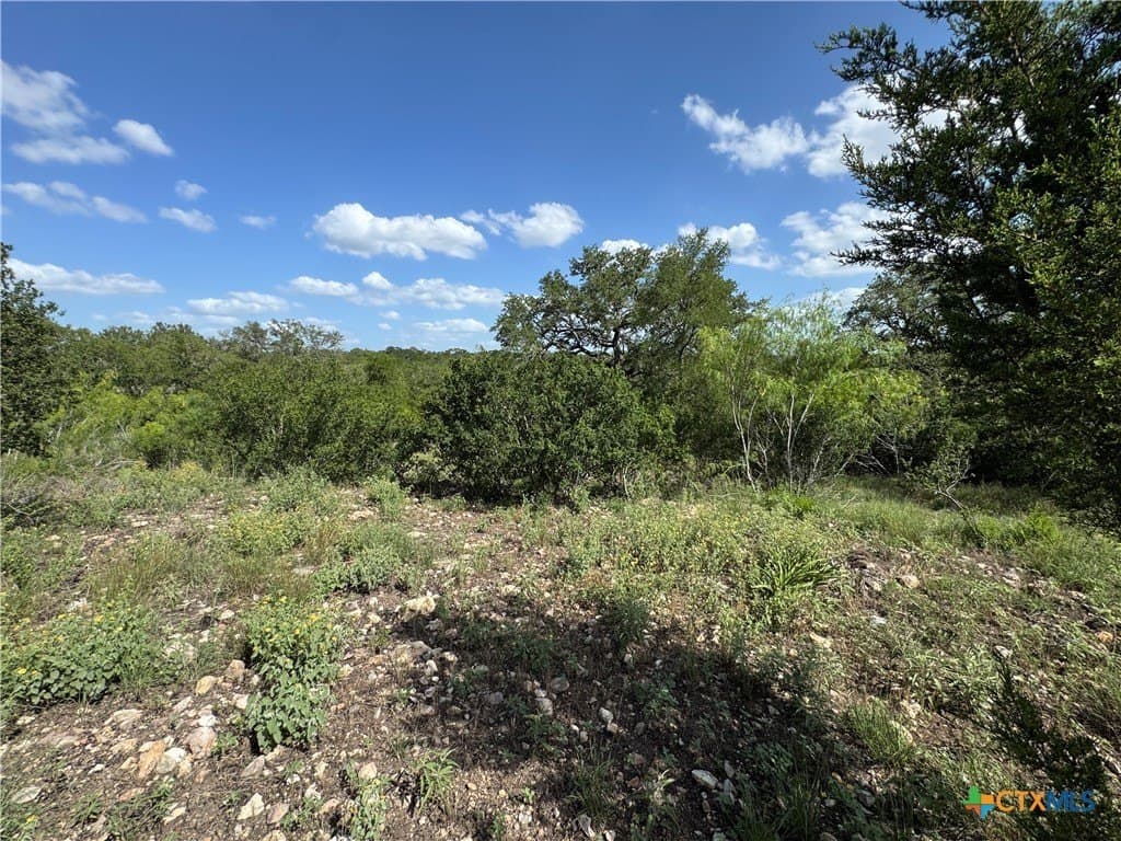 5 acres in Hays County - photo 13