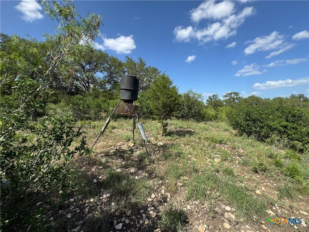 5 acres in Hays County - photo 14