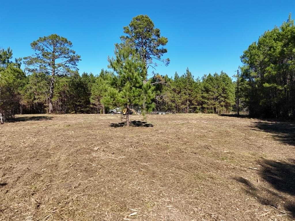 6.03 acres in Polk County - photo 31