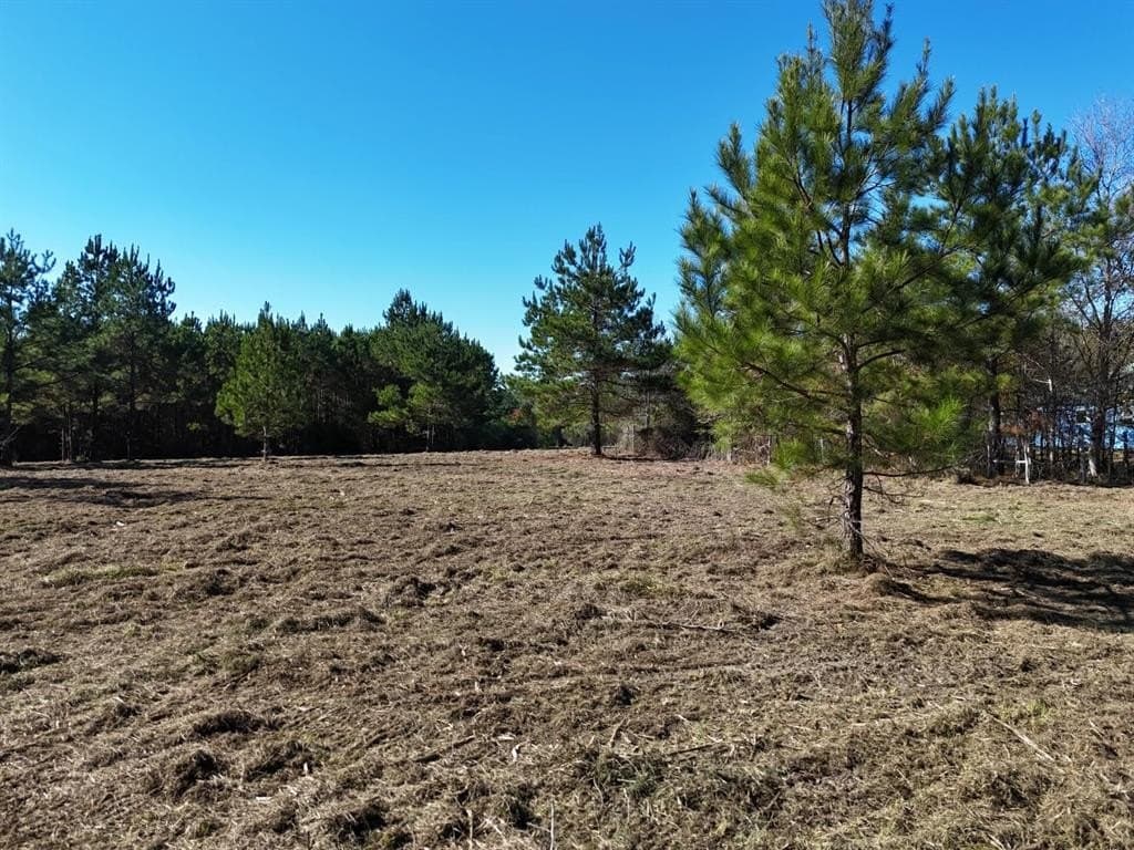6.03 acres in Polk County - photo 30