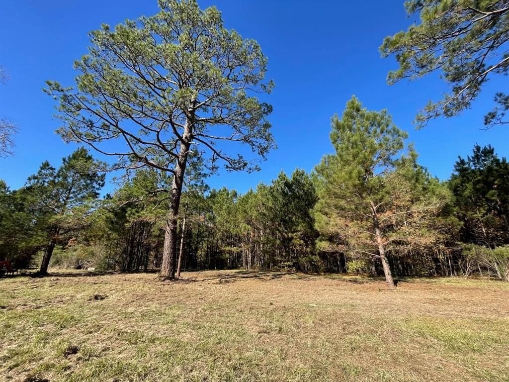 6.03 acres in Polk County - photo 26