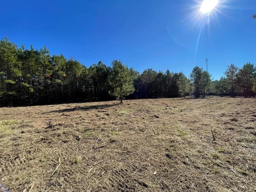 6.03 acres in Polk County - photo 28