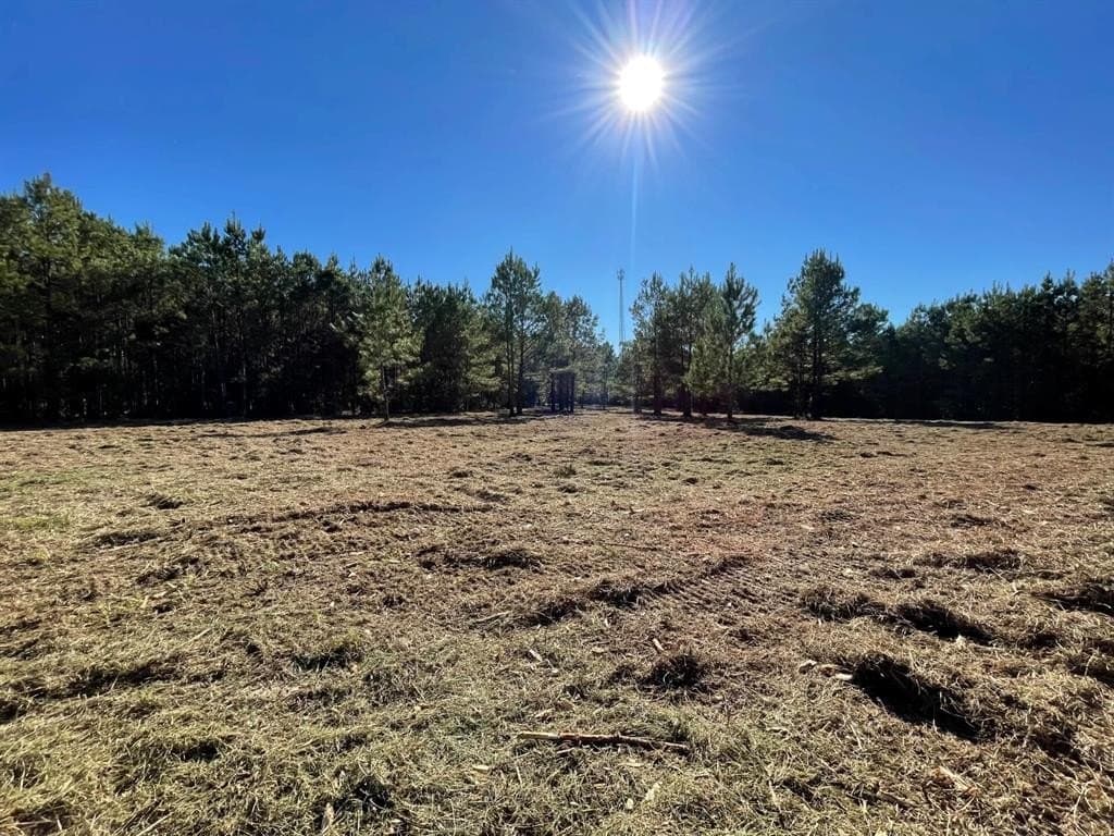6.03 acres in Polk County - photo 29