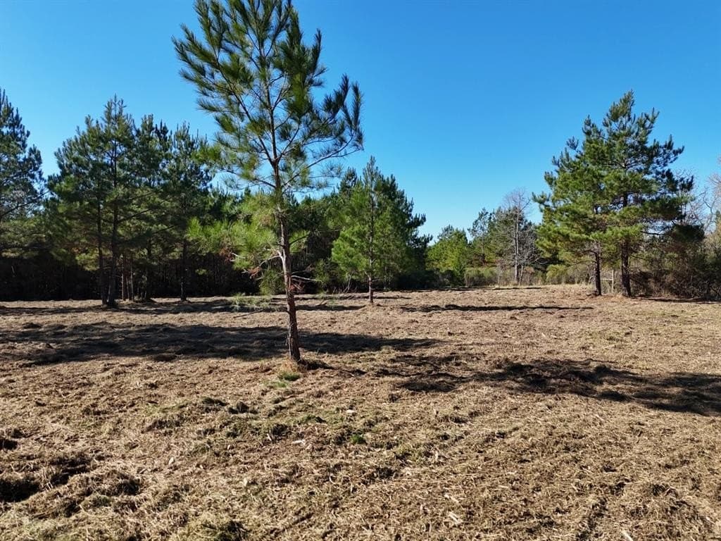 6.03 acres in Polk County - photo 32