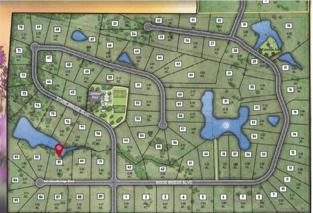 2.94 acres in Montague County - photo 6