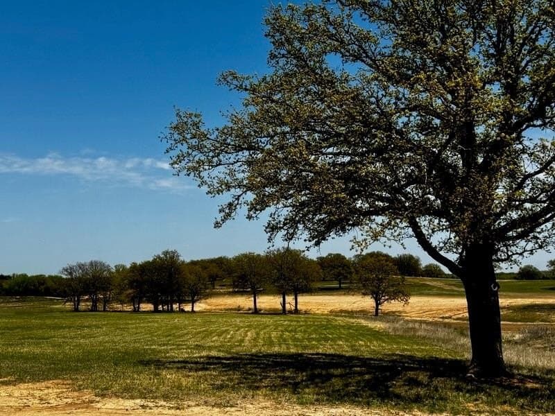 2.94 acres in Montague County - photo 3