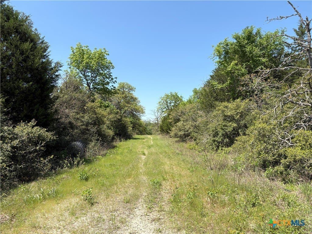 21 acres in Limestone County - photo 7