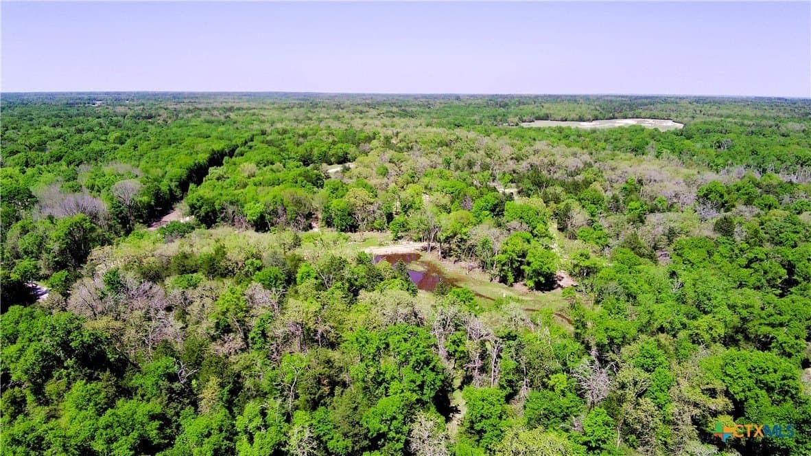 21 acres in Limestone County - photo 3
