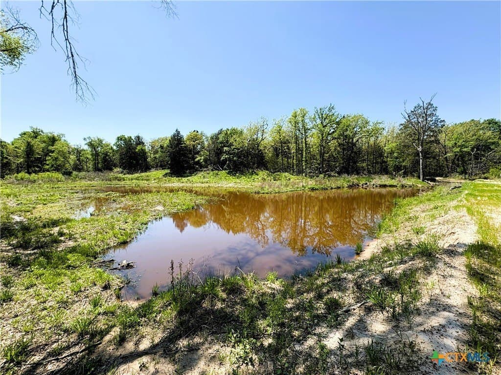 21 acres in Limestone County - photo 5